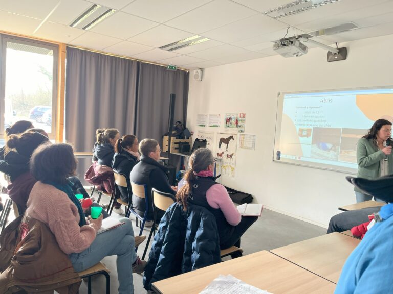 Formation bien-être à kernilien